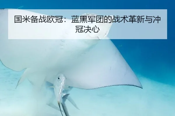 国米备战欧冠：蓝黑军团的战术革新与冲冠决心