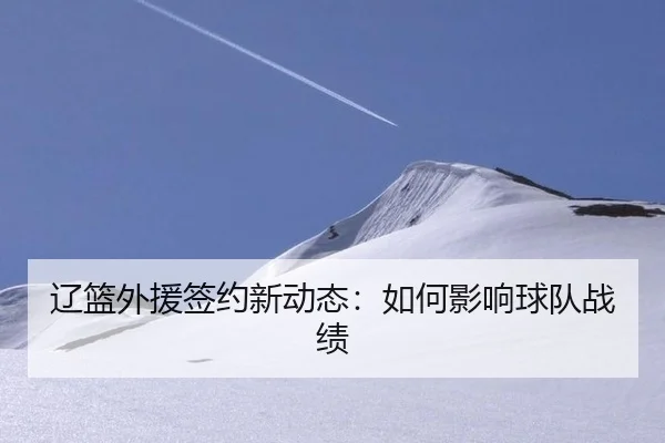 辽篮外援签约新动态：如何影响球队战绩